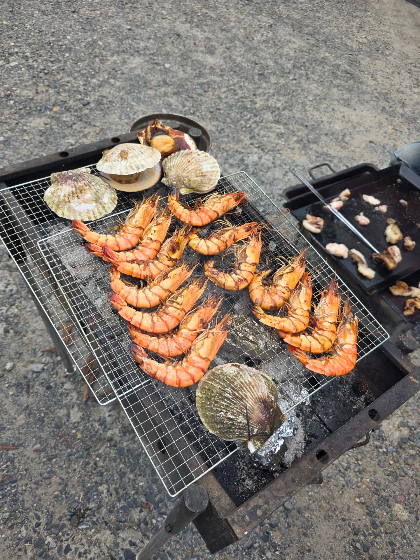 毎年恒例…夏のBBQ大会(⋈◍＞◡＜◍)。✧♡　ニク🥩肉🍖